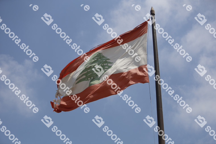 The Lebanese Flag